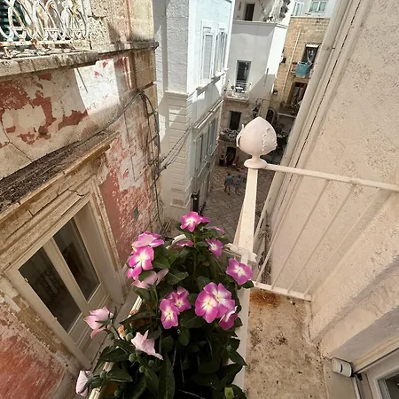 Bed & Breakfast Trame - La Naca Sul Porto Polignano a Mare